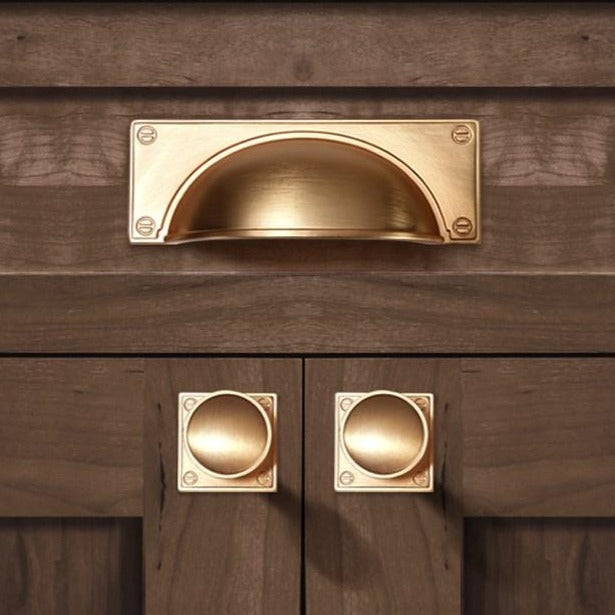 Paris Bin Pull in Brushed Brass