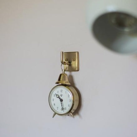 Brass Plate Single Hook